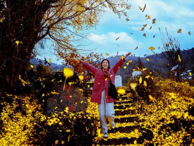 文峰轻土坪银杏民宿整装迎客