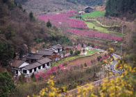太和梅花谷入选湖北省乡村旅游“漫享乡趣，休闲主题产品”