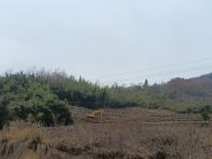 【十星好人】王文平：返乡种烟叶 共筑致富梦