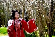 太和梅花谷景区梅花盛开满“谷”香